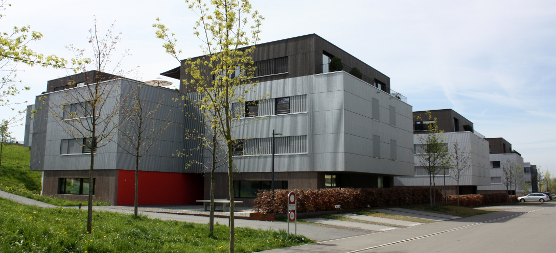 Complexe immobilier Fluh, Rapperswil